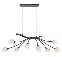 Lib & Co. CA 12233-043 - Modena, 8 Light Oval LED Chandelier, Black with Gold Accent