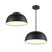 Dals CA NAPF20-CC-UNV-BK - 20in 2-1 Pendant and Flush mount, Universal driver - Black