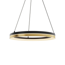 Dals CA PDR14-CC-BG - 14 Inch Pendant Double-Ring LED Semi-Flush