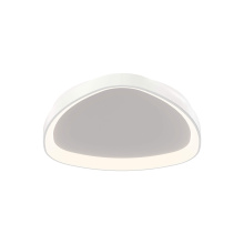 Dals CA TRFM22-CC-WH - Trimless Flush Mount