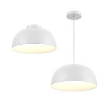 Dals CA NAPF20-CC-UNV-WH - 20in 2-1 Pendant and Flush mount, Universal driver - White