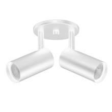 Dainolite STY-72SPT-MW - 2LT Spotlight, MW