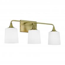 Capital Canada 148931AD-541 - 3-Light Vanity