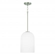 Capital Canada 348811BN - 1-Light Pendant