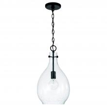 Capital Canada 349011MB - 1-Light Pendant
