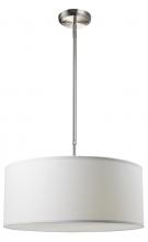 Z-Lite 171-20W-C - 3 Light Pendant
