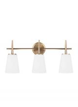 Generation Lighting 4440403-848 - Driscoll Three Light Wall / Bath