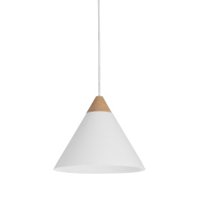 Renwil LPC4483 - Daya 9.75" Length Ceiling Fixture, WHITE