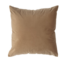 Renwil PWFL1458 - Alchemilla 20X20 Indoor Pillow, Camel