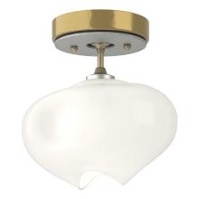 Hubbardton Forge - Canada 121372-SKT-86-82-FD0710 - Ume 1-Light Semi-Flush