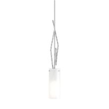 Hubbardton Forge - Canada 186670-SKT-MULT-02-GG0336 - Brindille Mini Pendant