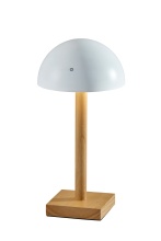 AFJ - Adesso 4065-02 - Nash LED Cordless Table Lamp