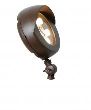 SNOC 0595 LV3 LD20N - Landscape accent light - 0595